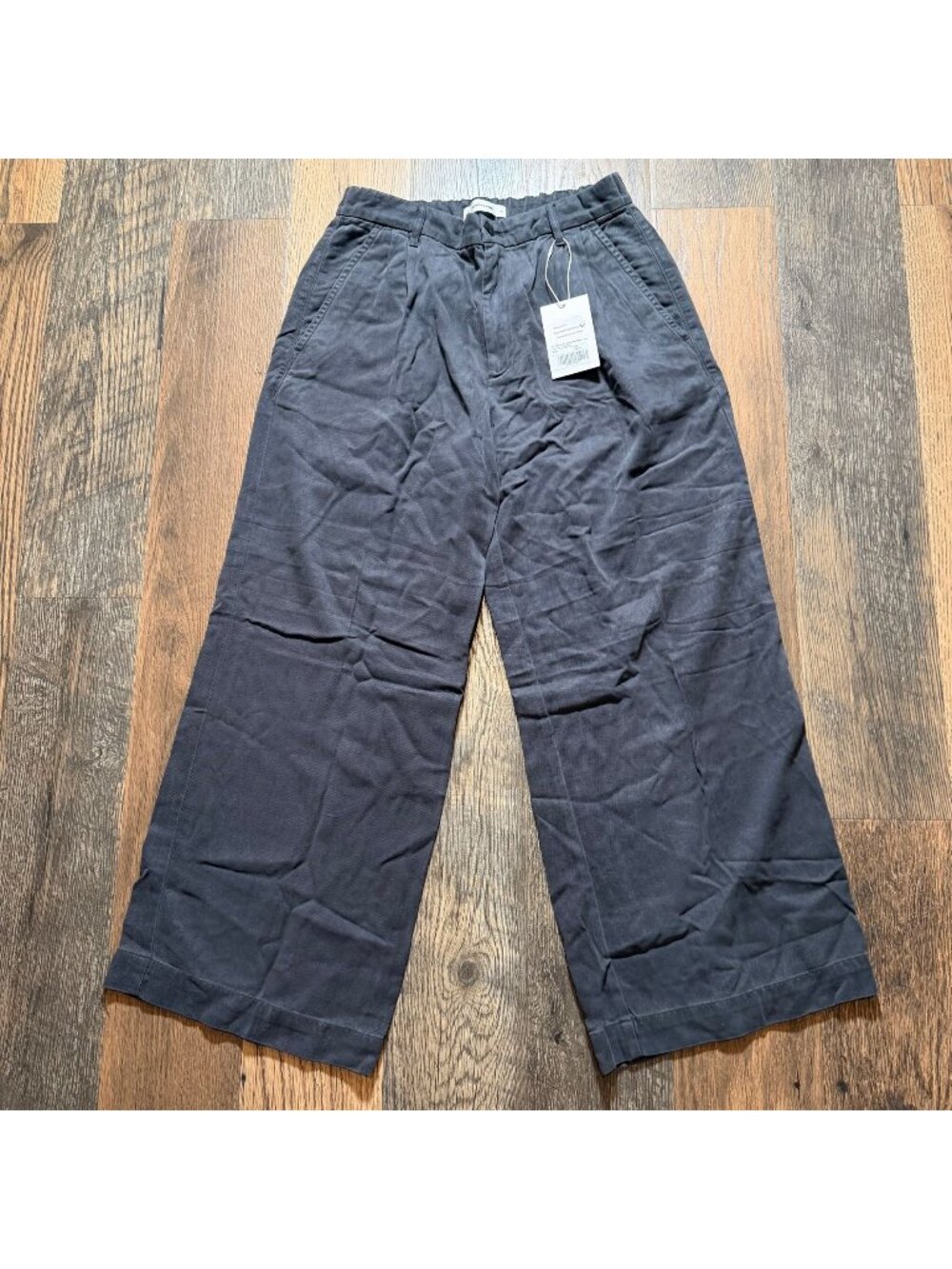 Everlane The Tencel Twill Pleated Chino Forged Iron Size 10 NWT